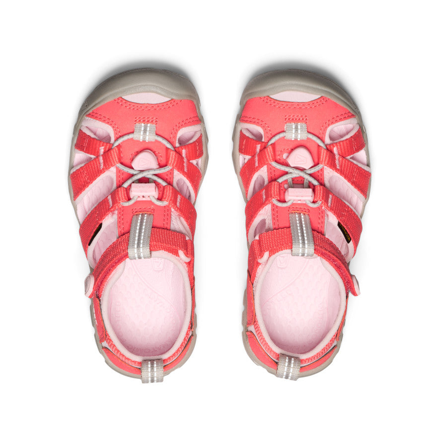 Little Kids' Seacamp II CNX | Dubarry/Giggle Pink - Image 3