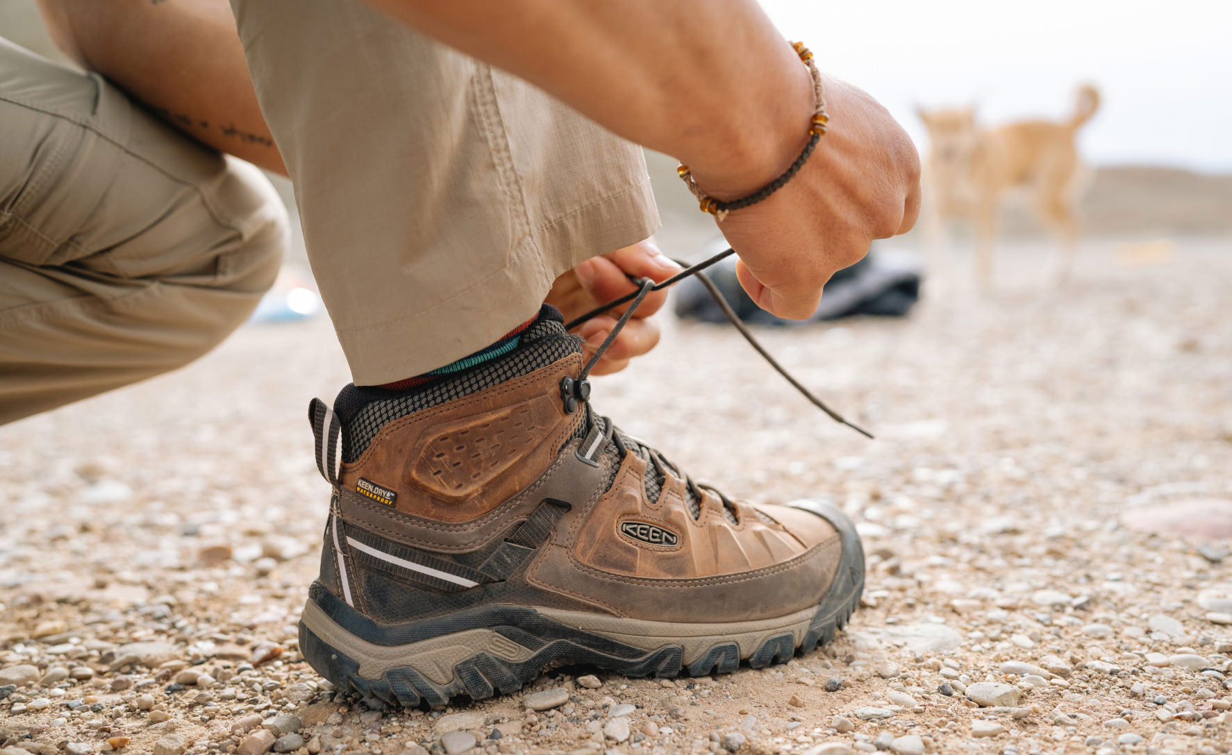 Men's Targhee III Waterproof Mid | Bungee Cord/Black - Image 6